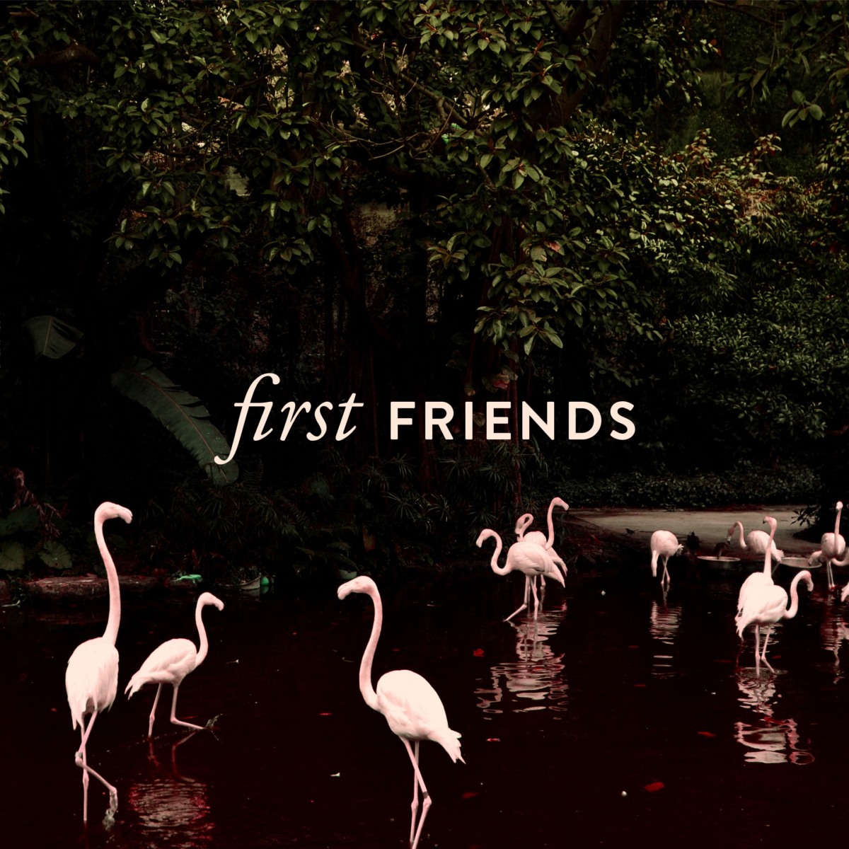 First Friends Logo Typografie